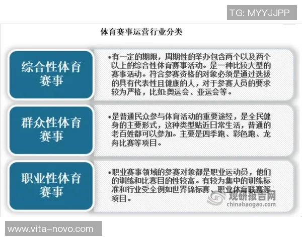 山东省体育明星综合排名及其影响力分析报告