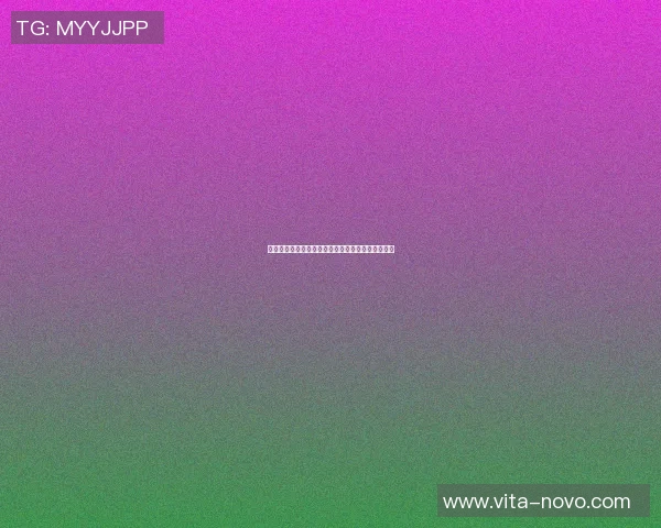 篮球明星一号的传奇之路与背后不为人知的奋斗故事